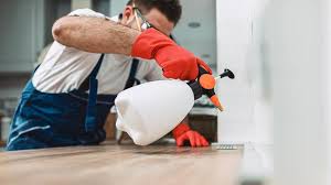 Best Termite Inspection and Treatment  in Thornport, OH